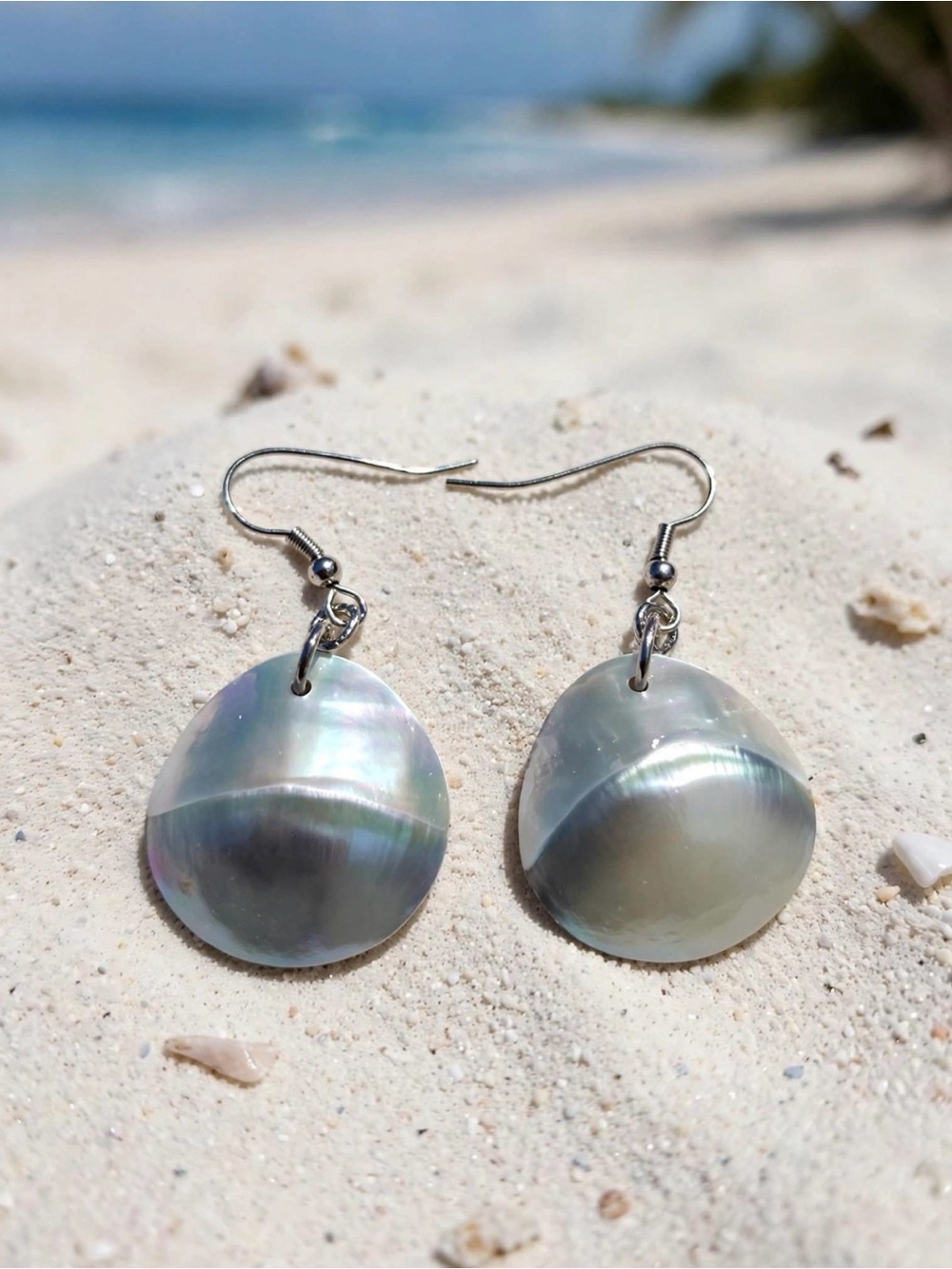 Oval Chamber Nautilus Shell Earrings